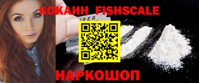 молекула духа Кингисепп