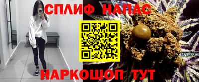 молекула духа Кингисепп