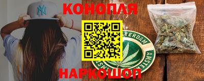молекула духа Кингисепп