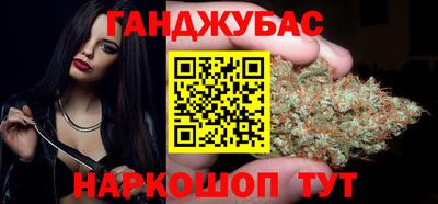 молекула духа Кингисепп