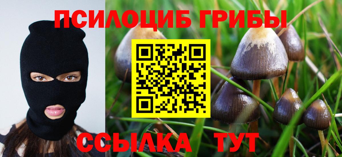 Королёв  Псилоцибиновые грибы ЛСД  Вход с VPN 